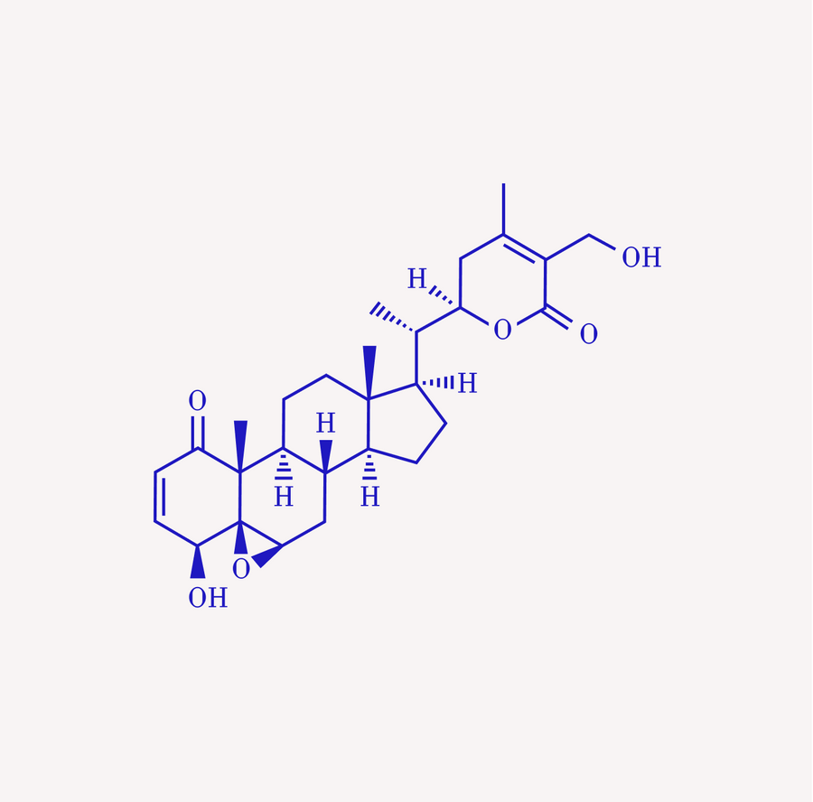 Ashwagandha & Rhodiola