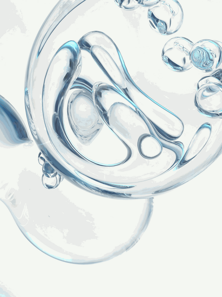 Cellular Health and Longevity -  a Science-Based Everyday Guide.