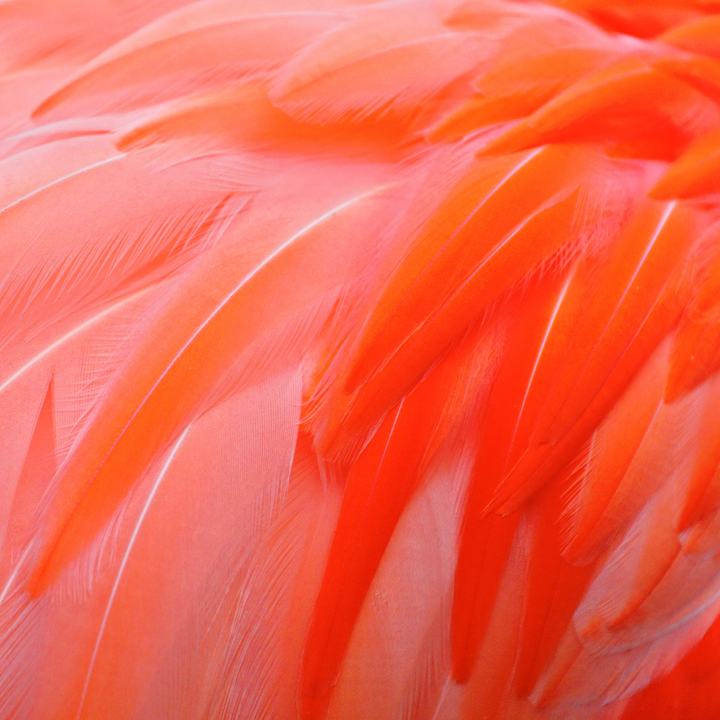 YOU ASK, WE ALWAYS ANSWER