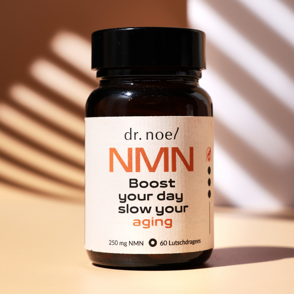 Longevity Bundle