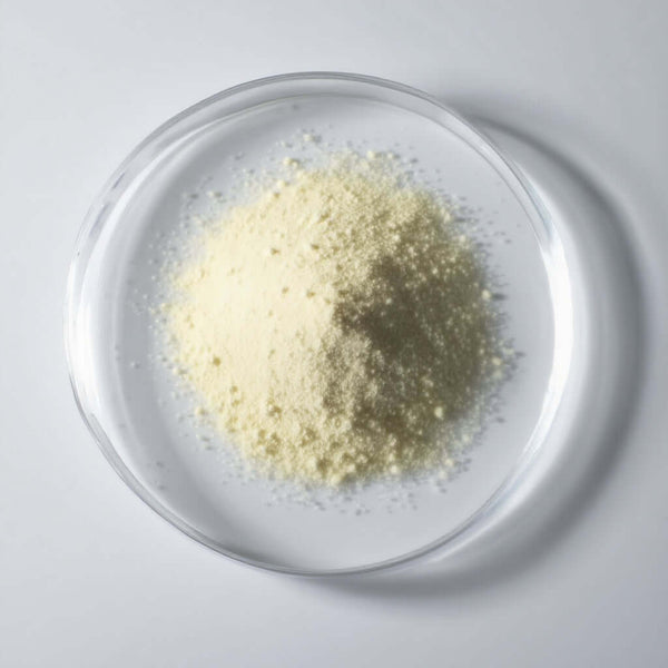 cognitive support supplement