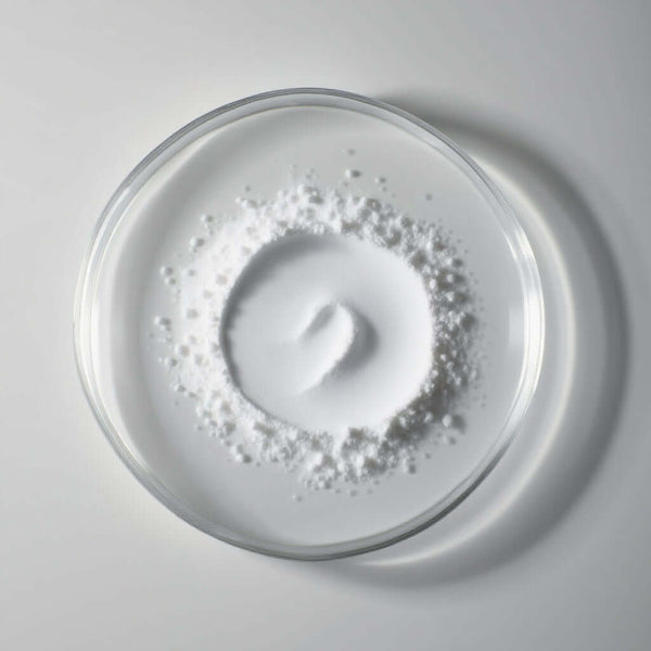 sleep support supplement