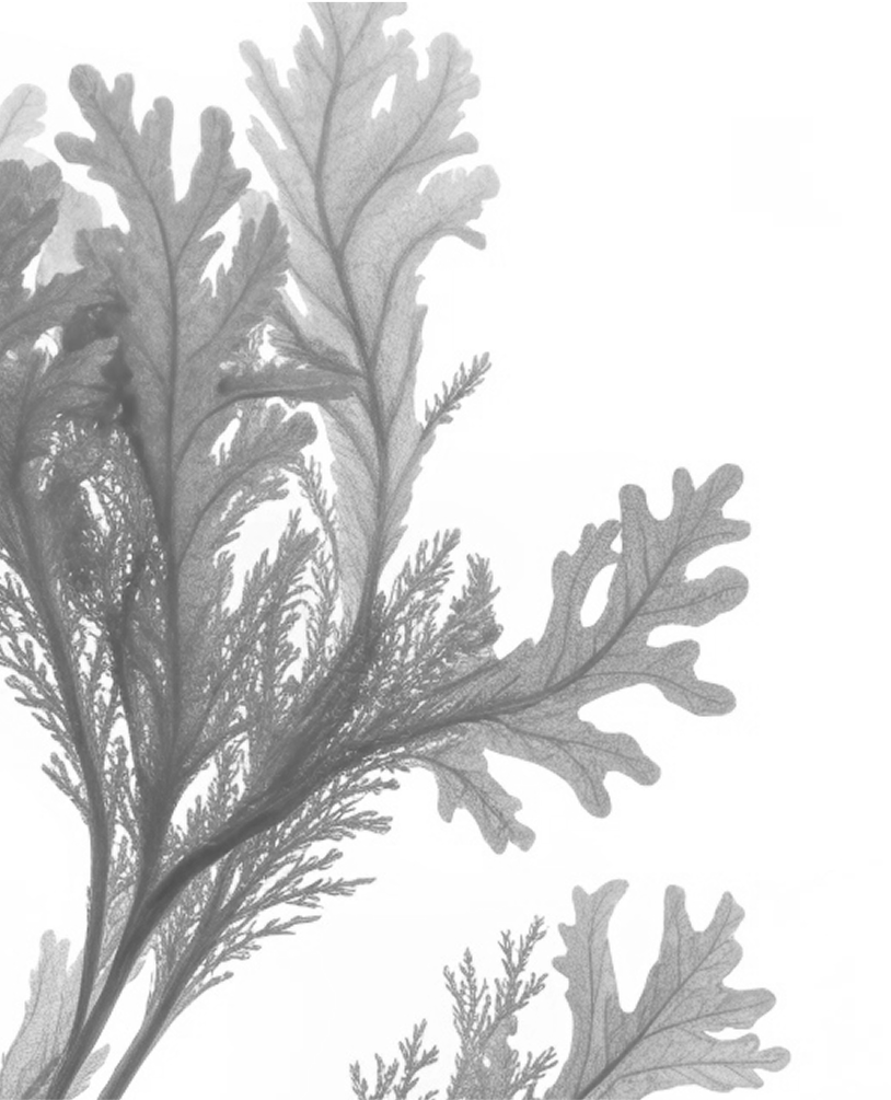 ASTAXANTHIN