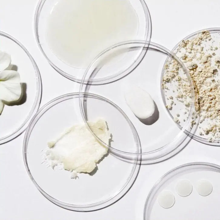 IMMUNEBALANCE+ Capsules by Dr. N shown with natural ingredients like powders, extracts, and petals in petri dishes, highlighting purity and quality.