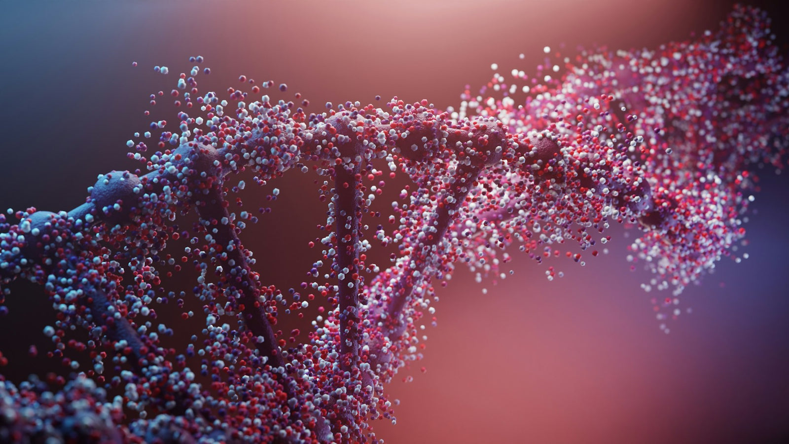 DNA Strang