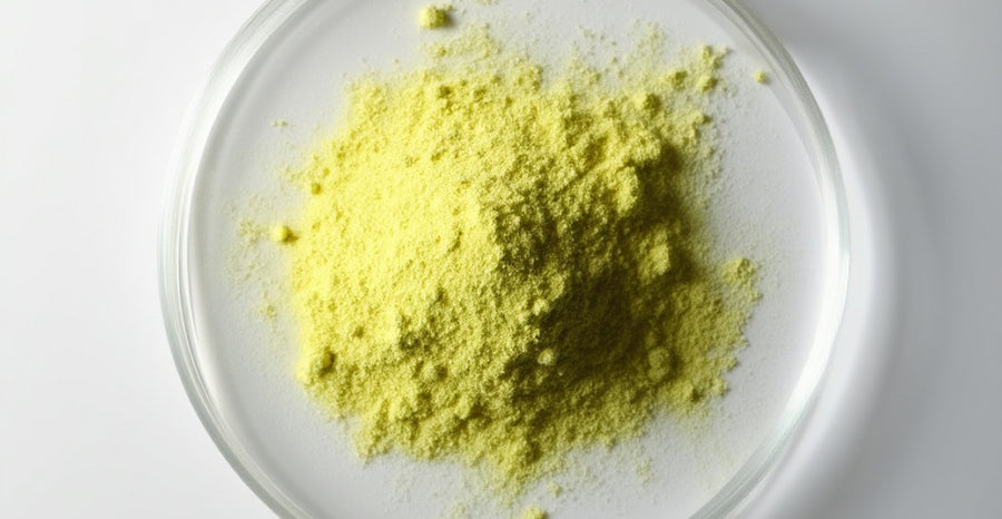 Quercetin on a Petri dish