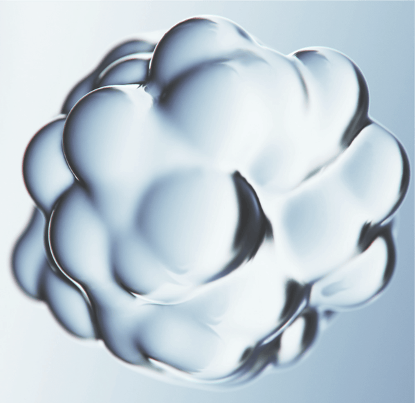 cognitive support supplement